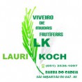 VIVEIRO DE MUDAS DE LAURI JORGE KOCH  - 05135361097